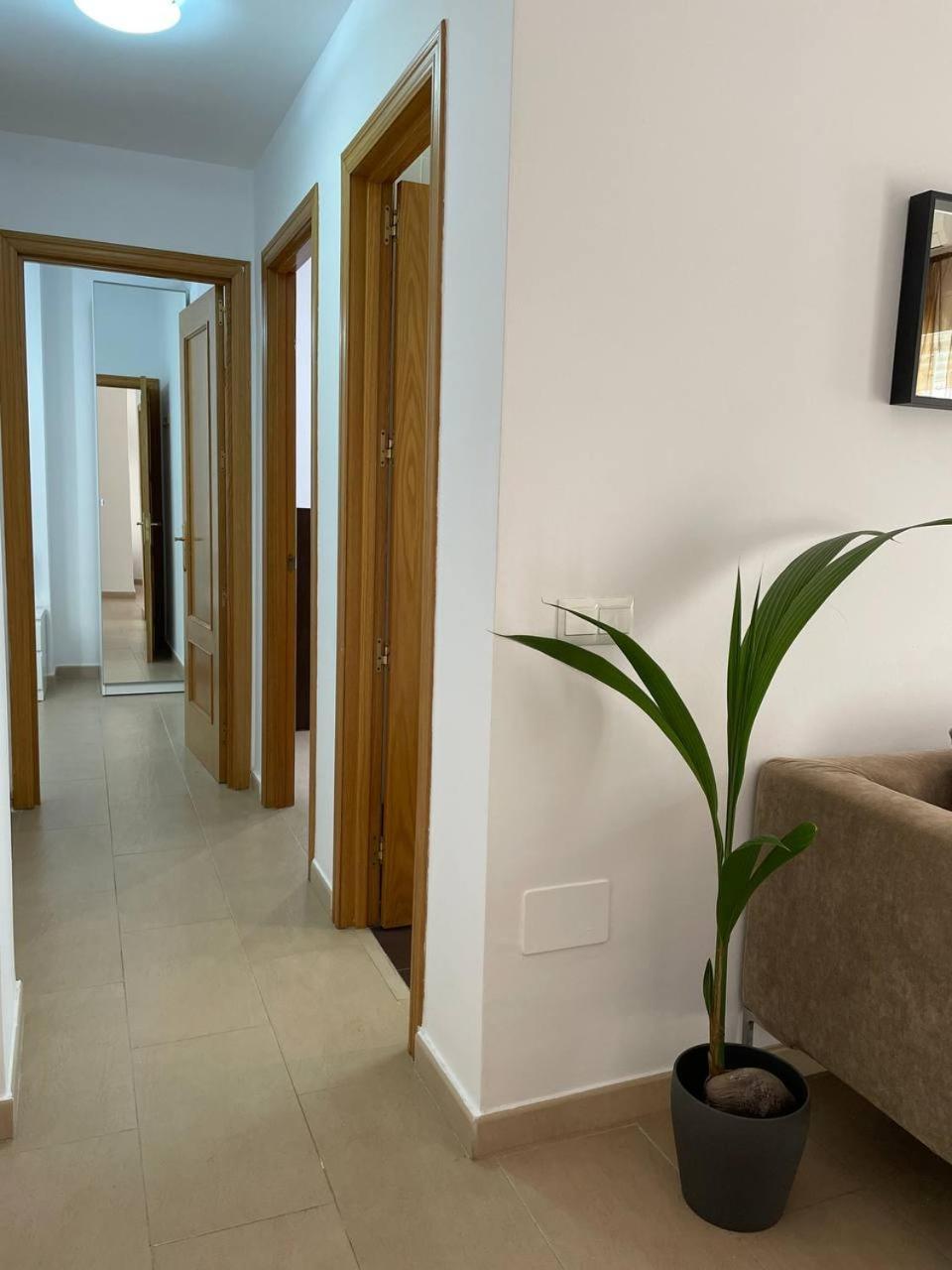 Perita Center And Free Parking Malaga